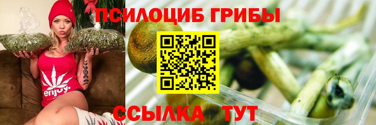 Псилоцибиновые грибы Magic Shrooms  Вход с VPN  Бахчисарай  наркошоп  Псилоцибиновые грибы прущие грибы 